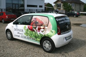 Inscriptionari auto